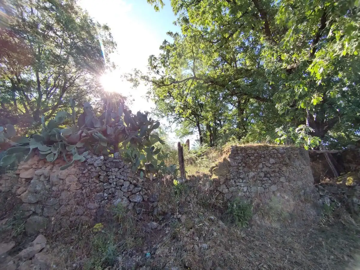 Terreni e lotti in vendita a Jarandilla de la Vera, imagen 6