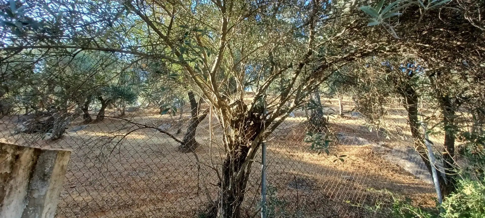 Casa amb jardí en venda a Constantina, imagen 50