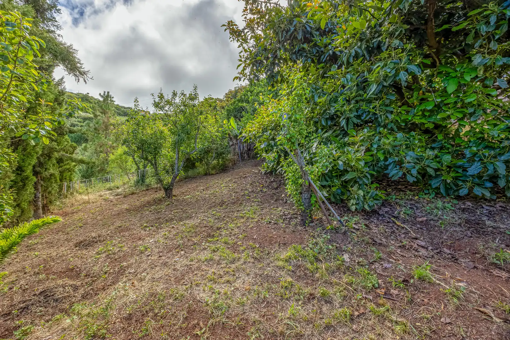 Houses for sale in Santa María de Guía de Gran Canaria  with Private garden, Terrace and Storage room