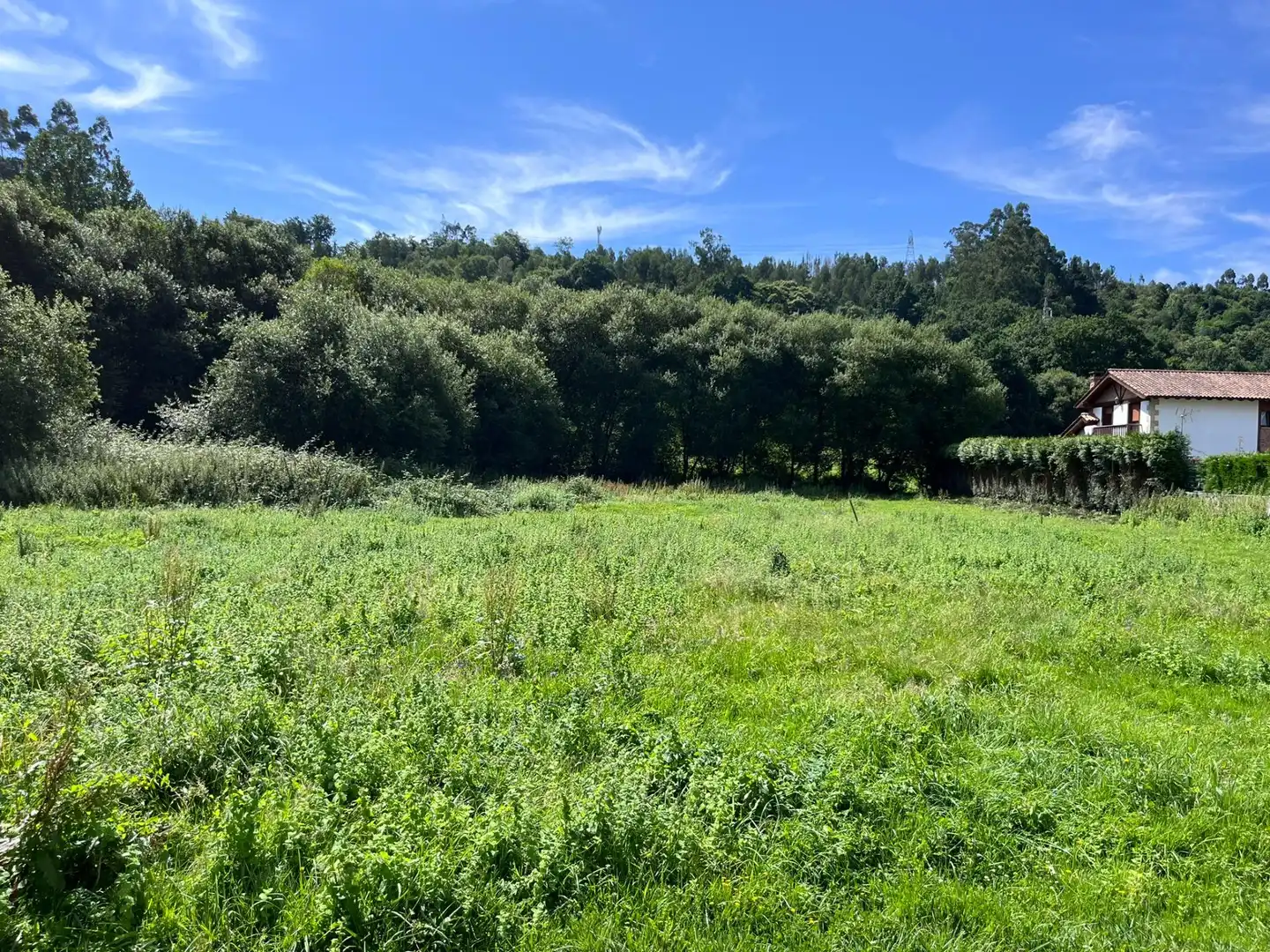 Residential for sale in Reocín