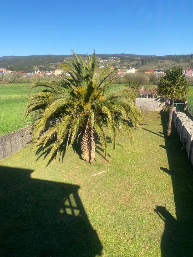 Jardí de Casa o xalet en venda en Val do Dubra amb Calefacció, Jardí privat i Parquet