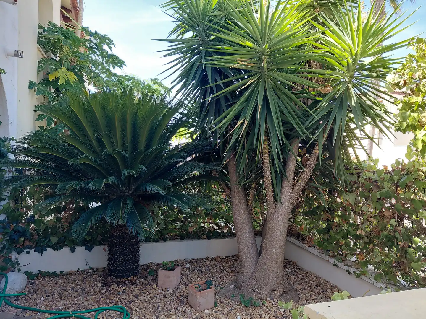 Casa a schiera con giardino in vendita a Calle MIGUEL DE UNAMUNO ,URBANIZACION , LOMAS DE ES, imagen 6