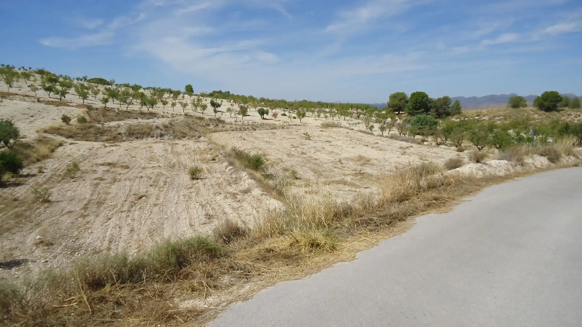 Terreno rustico in vendita a Jumilla, imagen 16