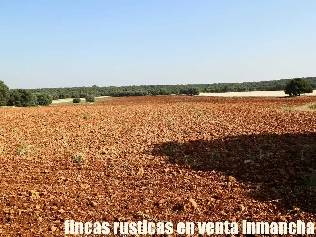 Terreno en venta en Alcaraz