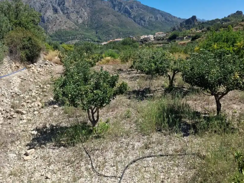 Grundstücke zum Verkauf in Beniardà