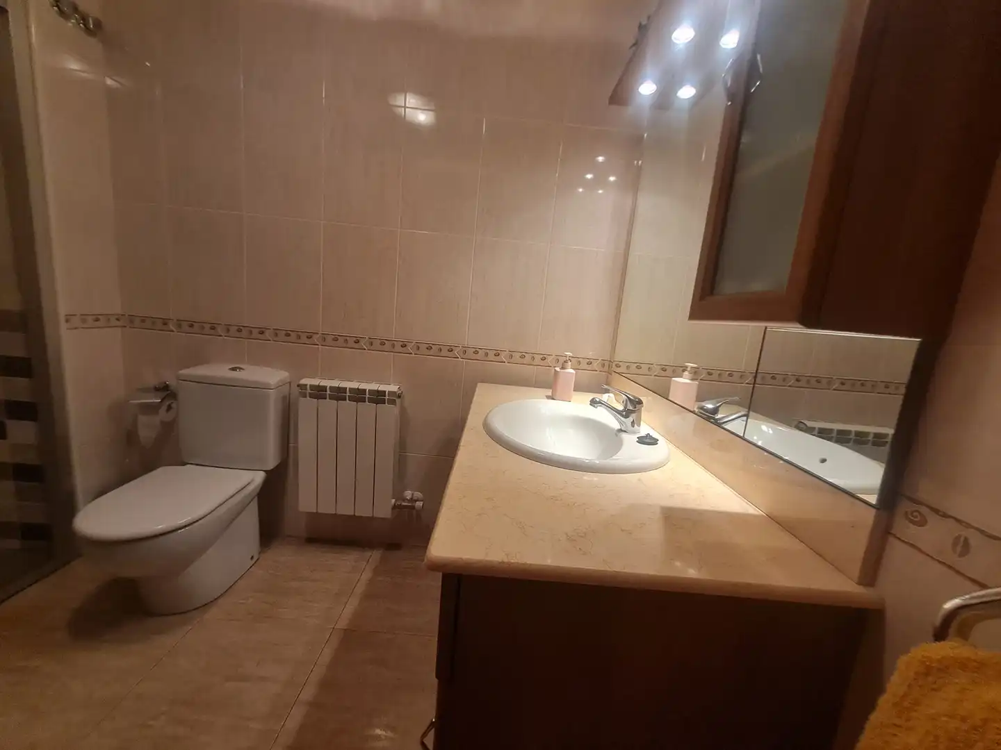 Bathroom of Detached homes for sale in Puig-reig  with Air Conditioner, Heating and Private garden