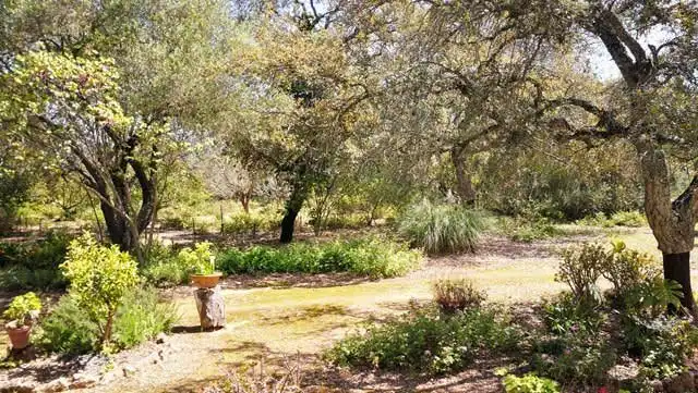 Jardín de Residencial en venta en Arcos de la Frontera