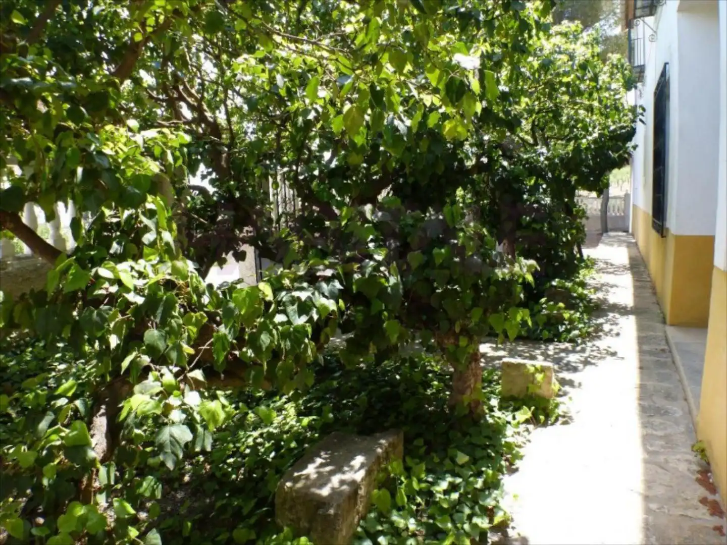 Terreny residencial en venda a Tibi, Ctra S. Vicente-Alcoy. Torrosellas, Polígono 1 parcela 25 + casa, imagen 34