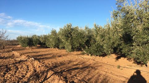 Foto 2 de Finca rústica en venda a Pulpí pueblo, Almería