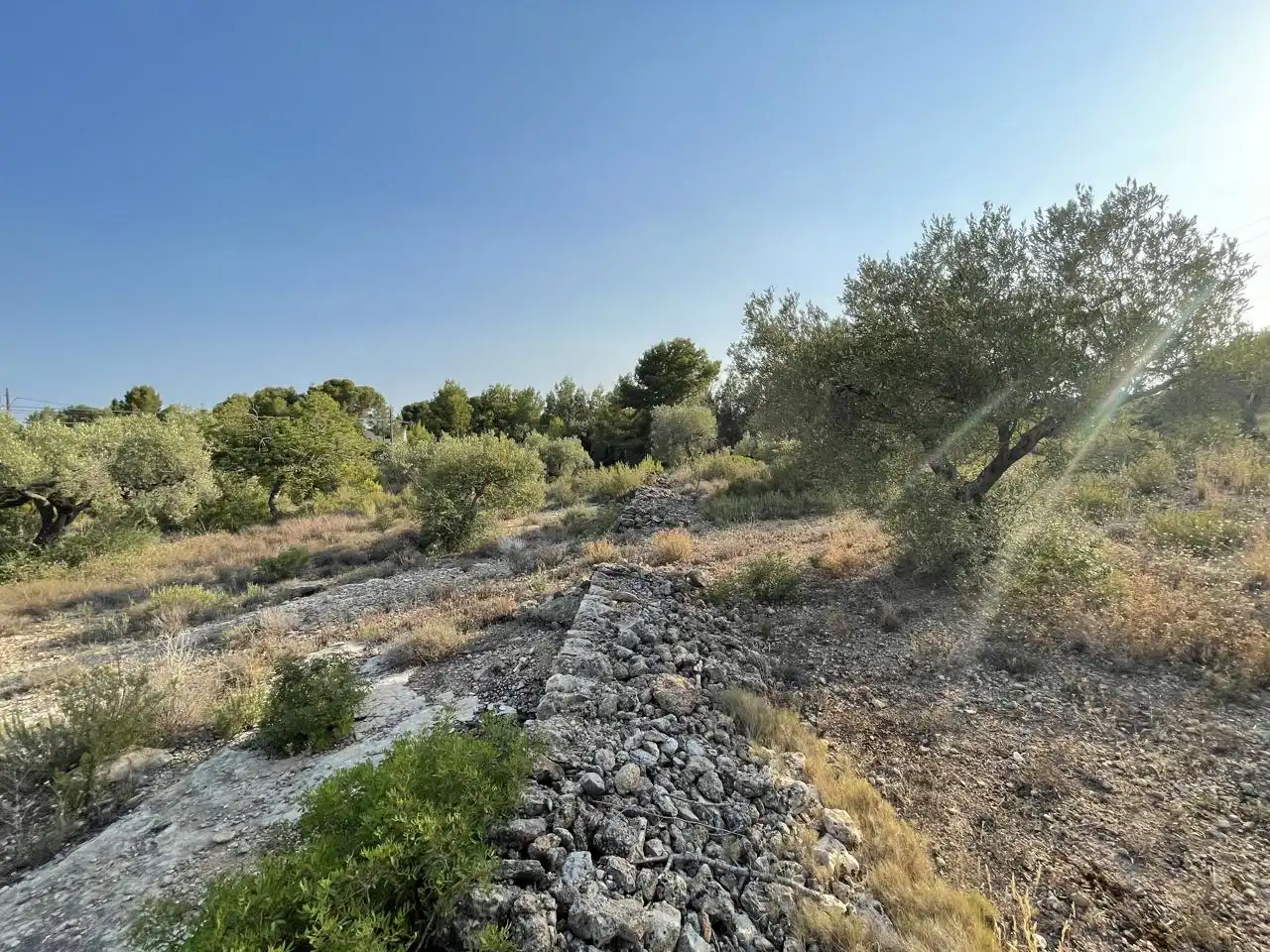 Terreno rustico in vendita a Partida Estany Tort, imagen 16