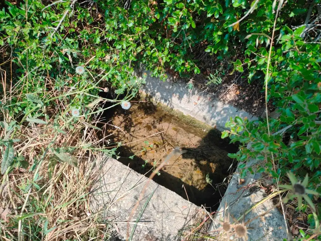Terreni e lotti in vendita a Arens de Lledó, imagen 9