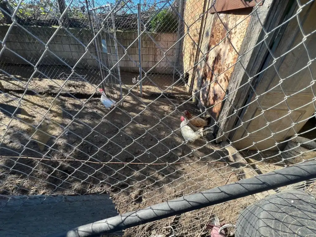 Vista exterior de Finca rústica en venta en Jerez de la Frontera