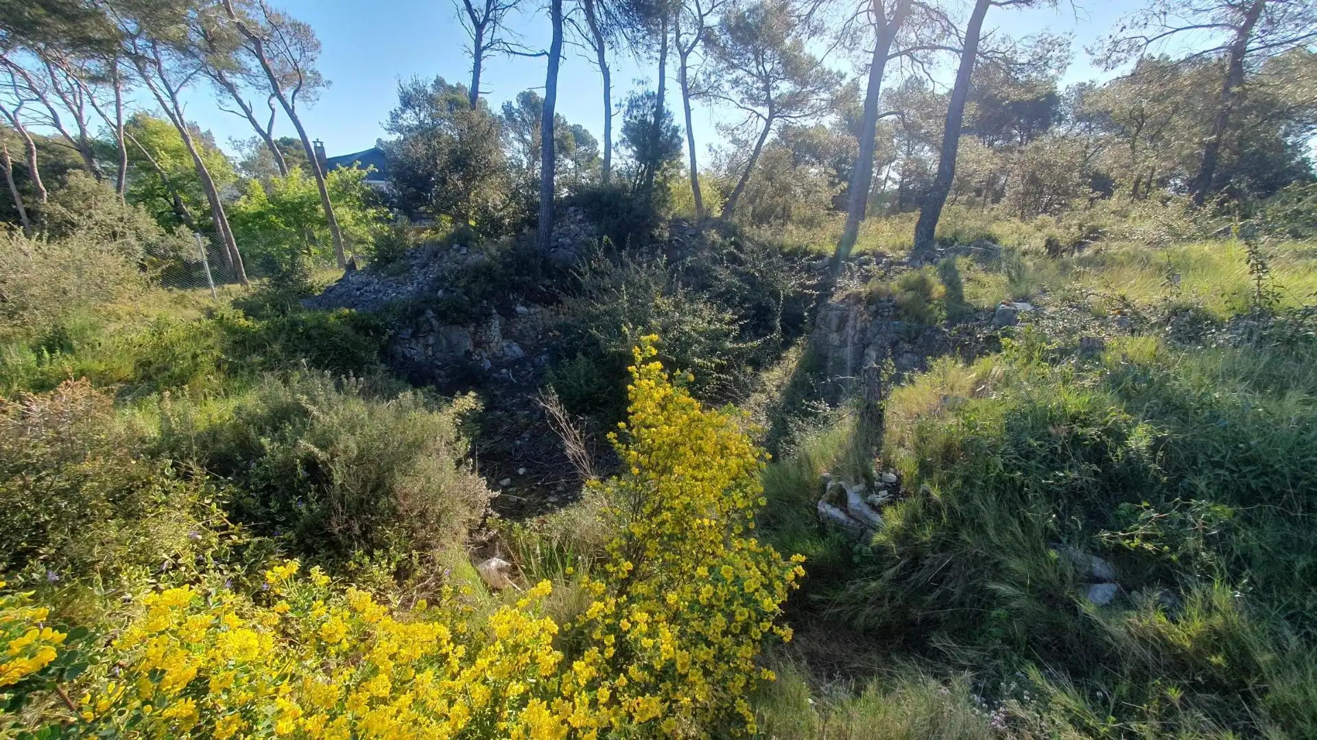 Terreny residencial en venda a Carrer MONTSERRAT (FONT DEL BOSC 122, imagen 11