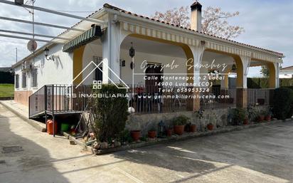 Jardí de Casa o xalet en venda en Lucena amb Aire condicionat i Piscina