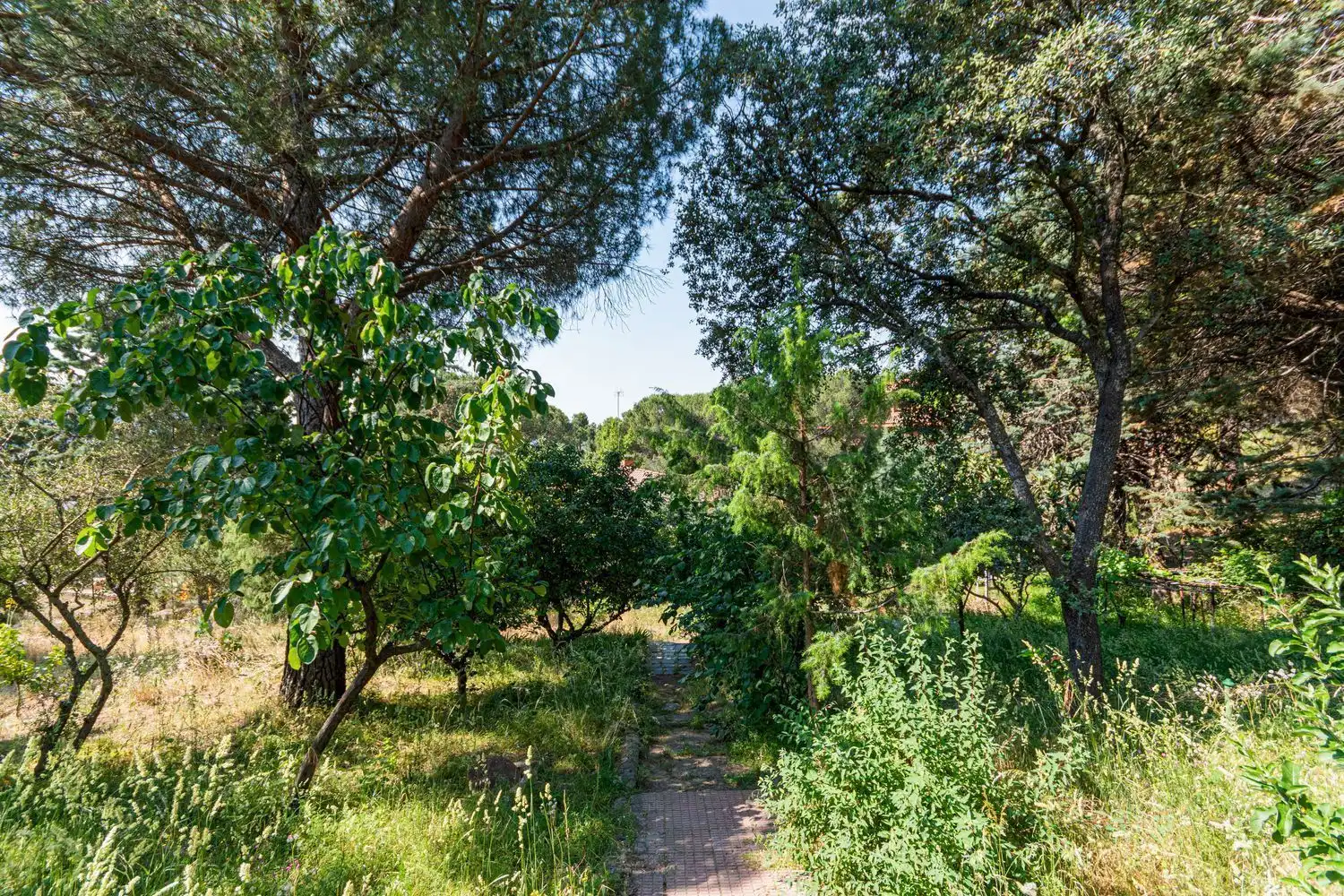 Casa o chalet en venta en Robledo de Chavela