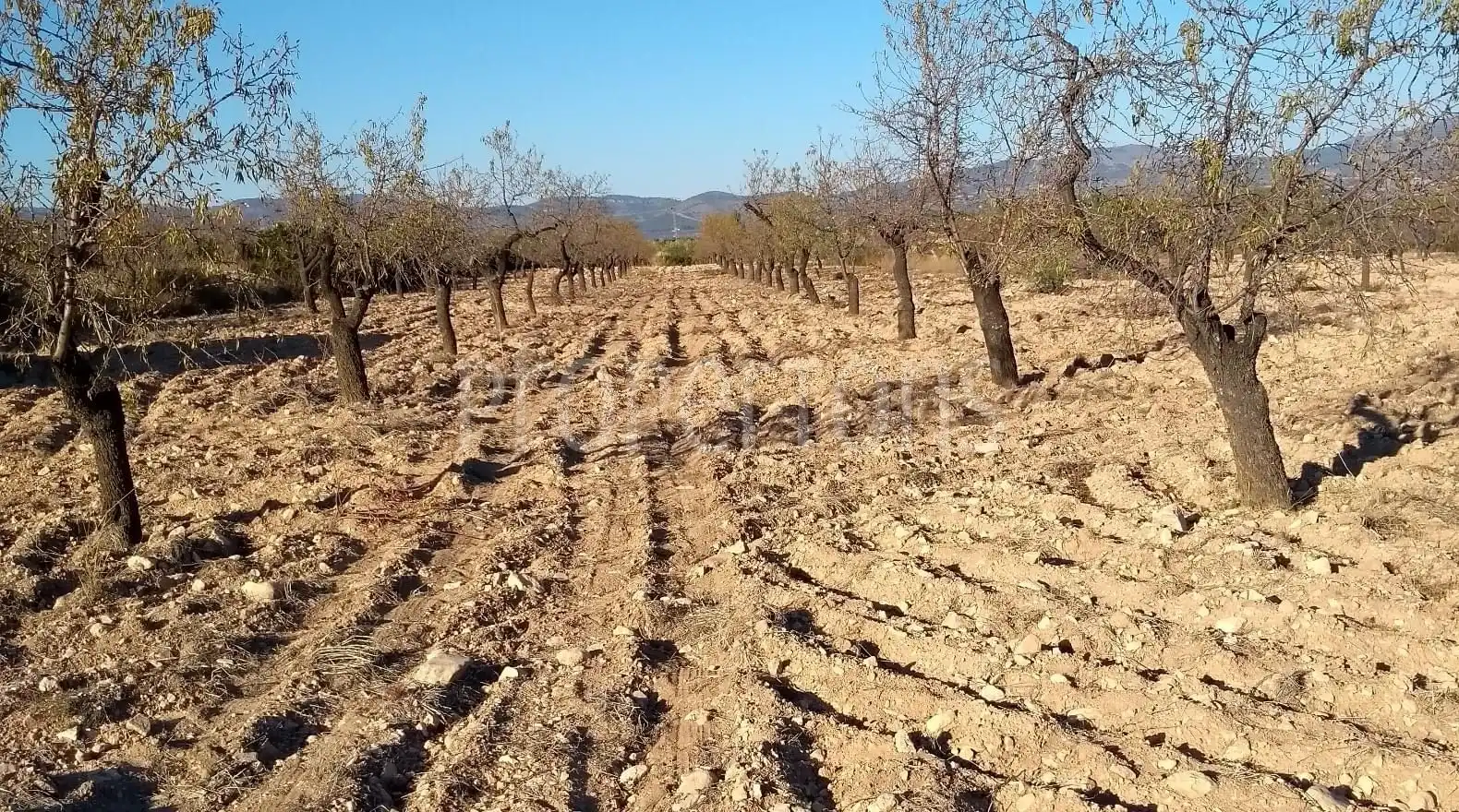 Terrenys i solars en venda a Castalla, imagen 4