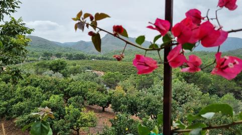 Foto 3 de Finca rústica en venda a Torres Torres, Valencia