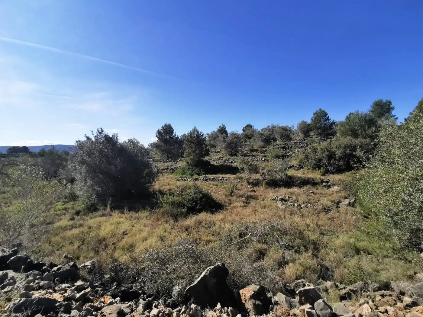 Finca rústica en venda en Chella