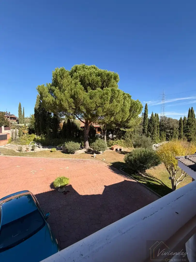Jardín de Casa o chalet en venta en Parque Boadilla