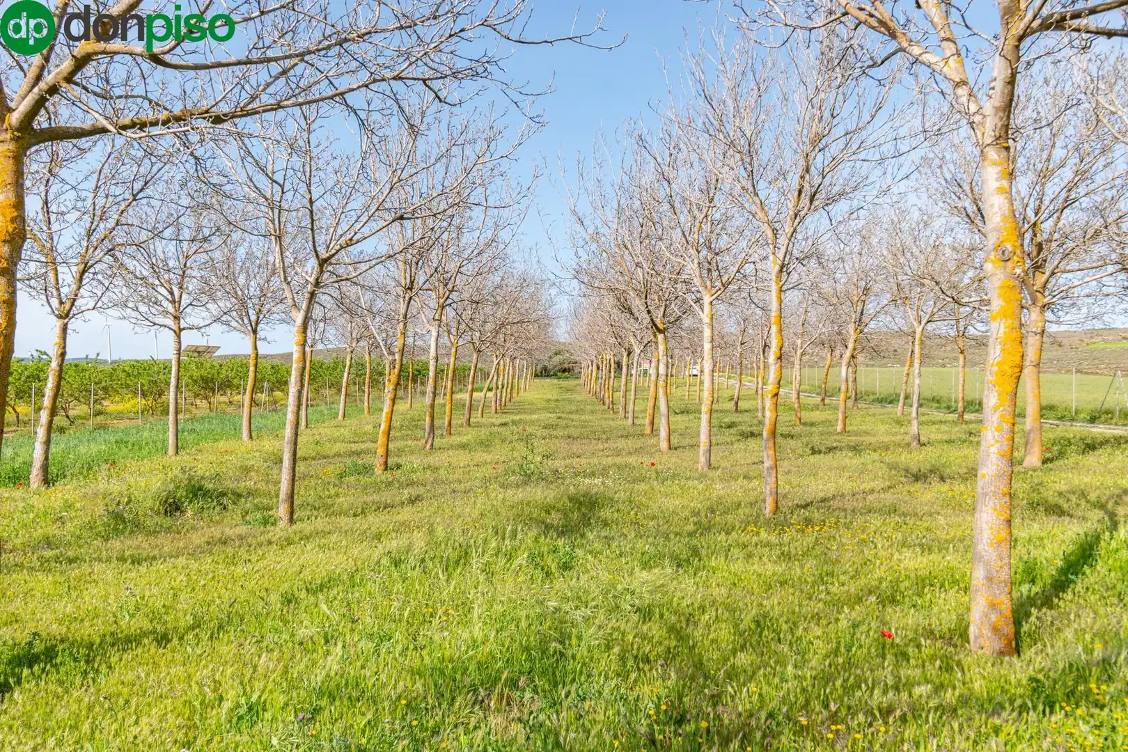 Terreni e lotti in vendita a Pago de las manguetas, imagen 14