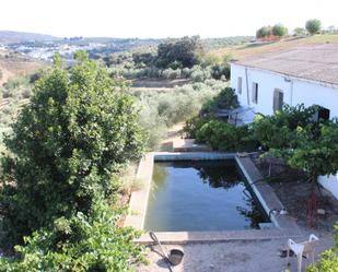 Jardí de Casa o xalet en venda en Setenil de las Bodegas amb Piscina