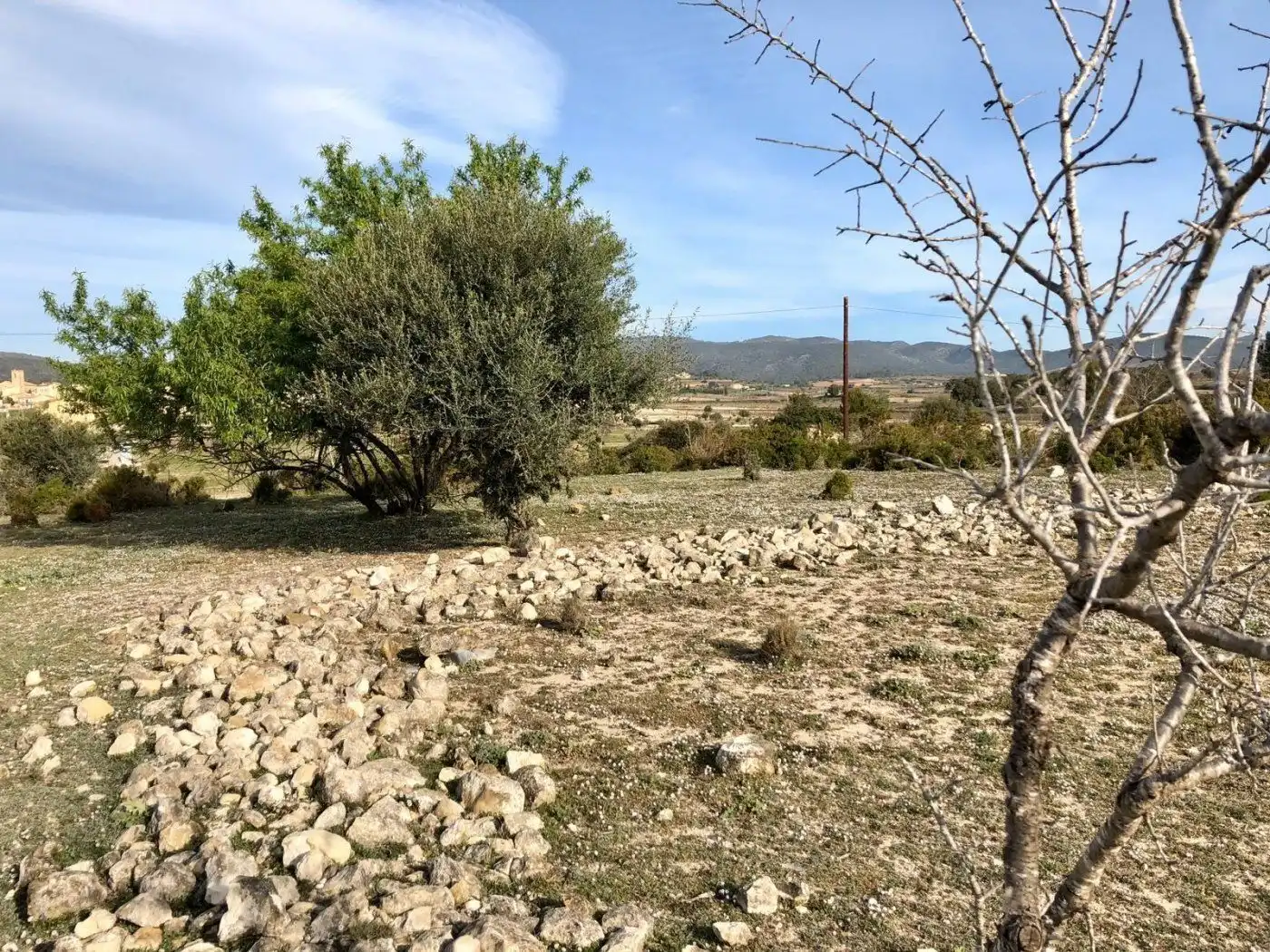 Terreny rústic en venda a Gregal del, imagen 6