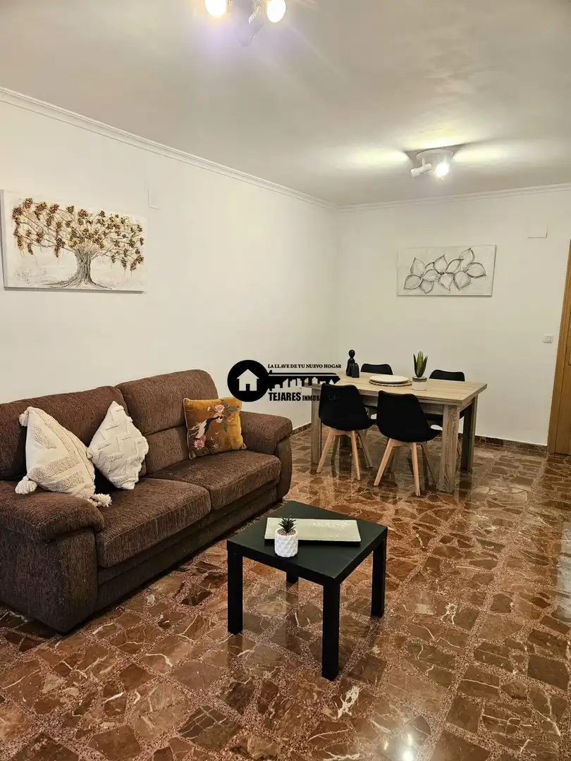 Sala d'estar de Apartament de lloguer en  Albacete Capital amb Calefacció i Moblat