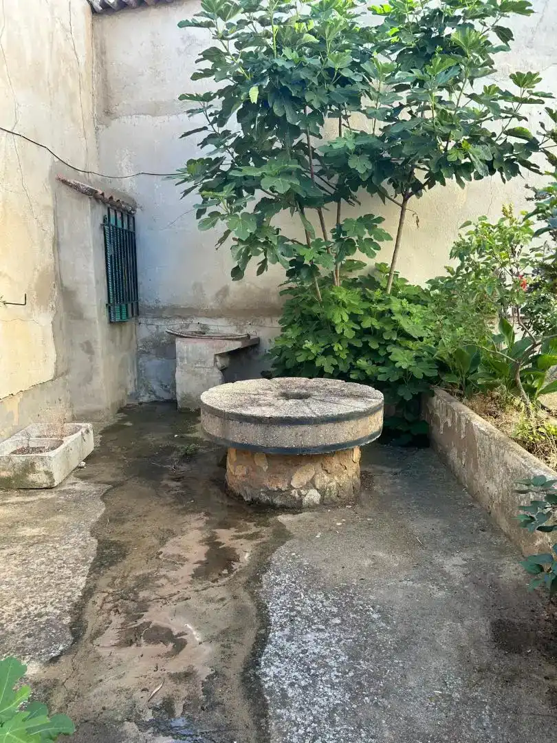 Jardí de Finca rústica en venda en San Pedro