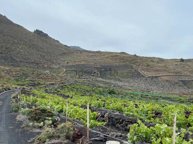 Terreno en Venta en Caserío de la Fajana, 22 en Fuencaliente de la Palma