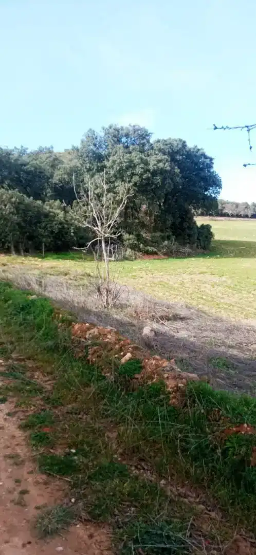 Finca rústica en venda en Serón de Nágima