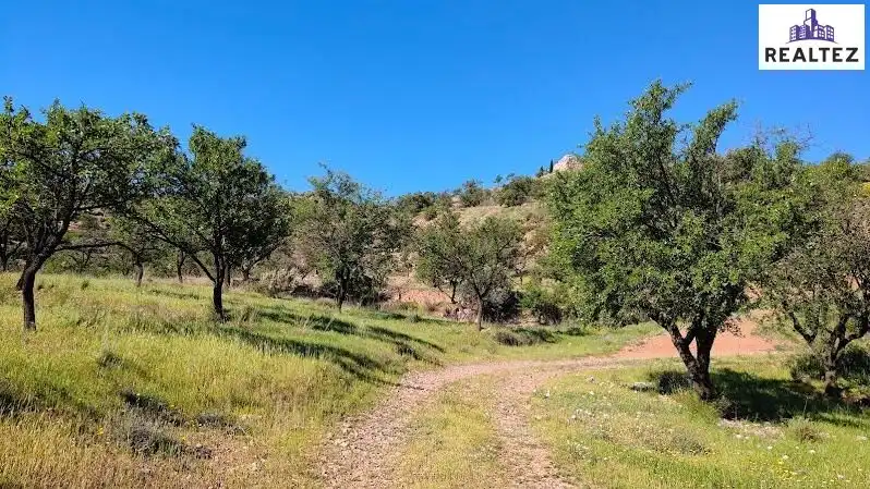 Rural land for sale in Felix, imagen 24