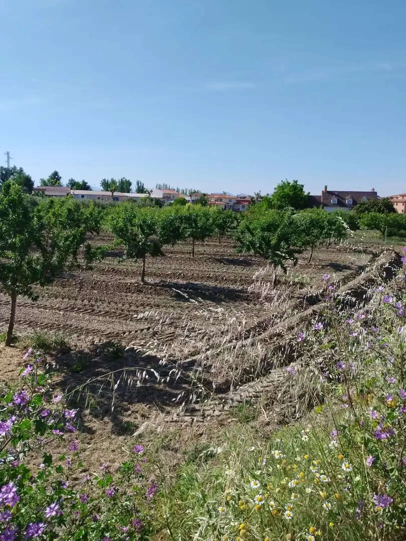 Terreni e lotti in vendita a Carretera Polígono 1 Parcela 83 PAGE BAJO. VILLA DE OTURA (, imagen 17
