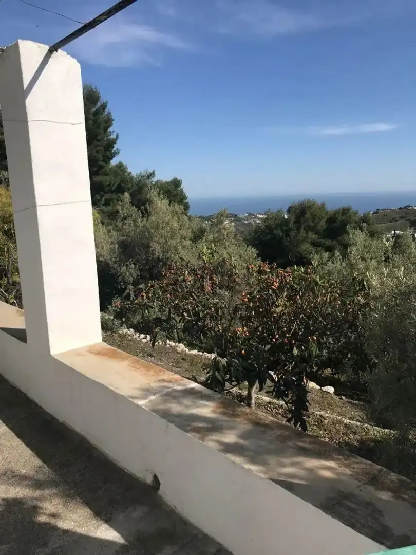 Jardí de Finca rústica en venda en Frigiliana amb Terrassa, Traster i Forn