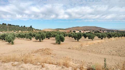Finca en La Malaha, immagine 4