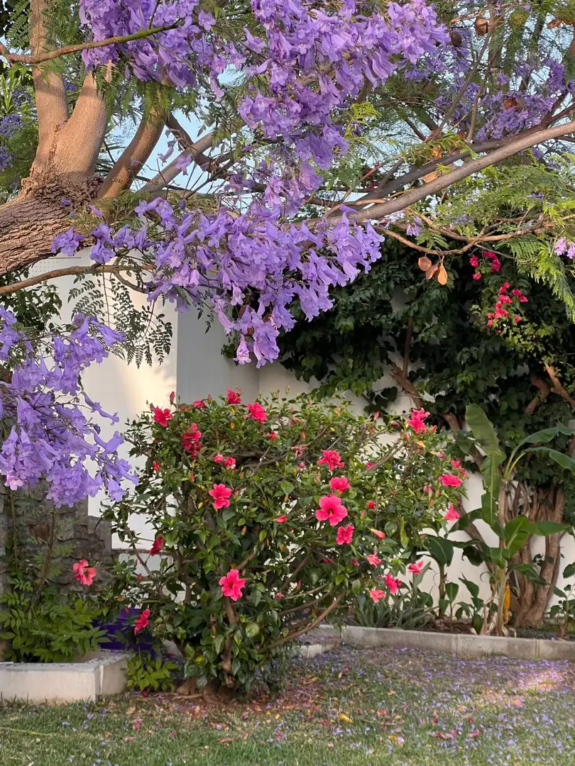 Casa amb piscina en venda a Selwo, imagen 49