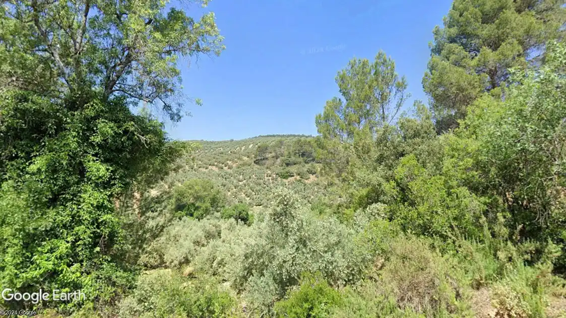 Terreni e lotti in vendita a Beas de Segura, imagen 5