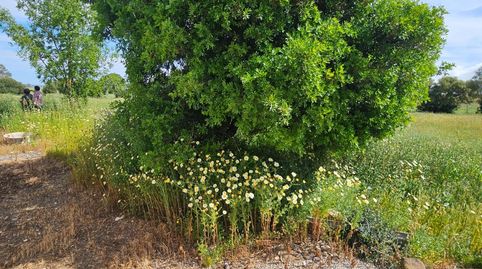 Foto 5 de Finca rústica en venta en Vejer, Vejer de la Frontera