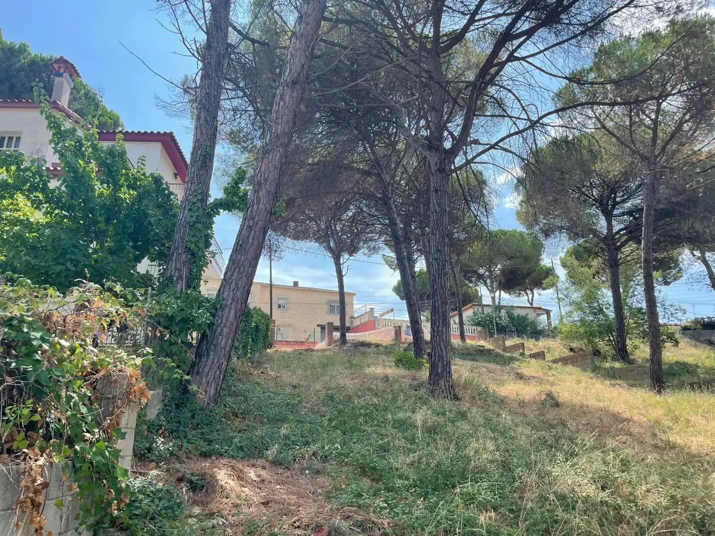 Terreno residencial en venta en Mas Mora - Sant Daniel, imagen 18