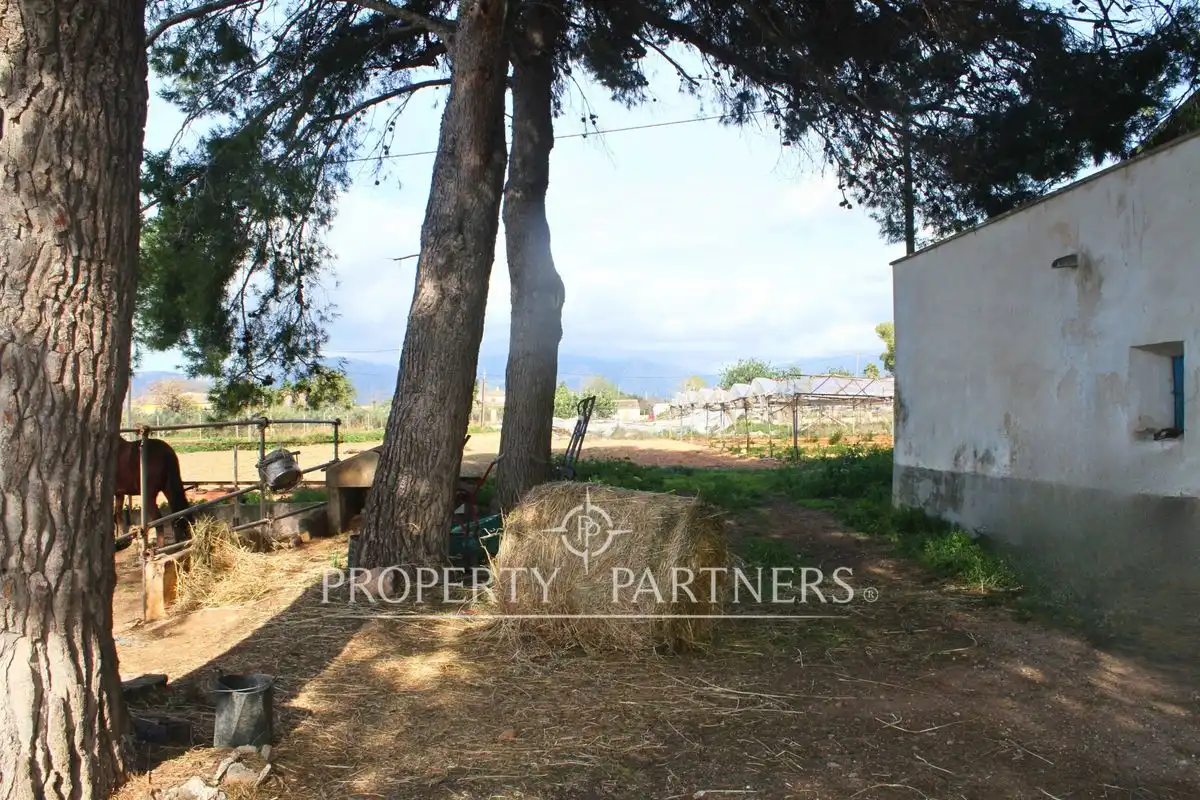 Villa avec jardin à vendre à Son Nebot, imagen 5
