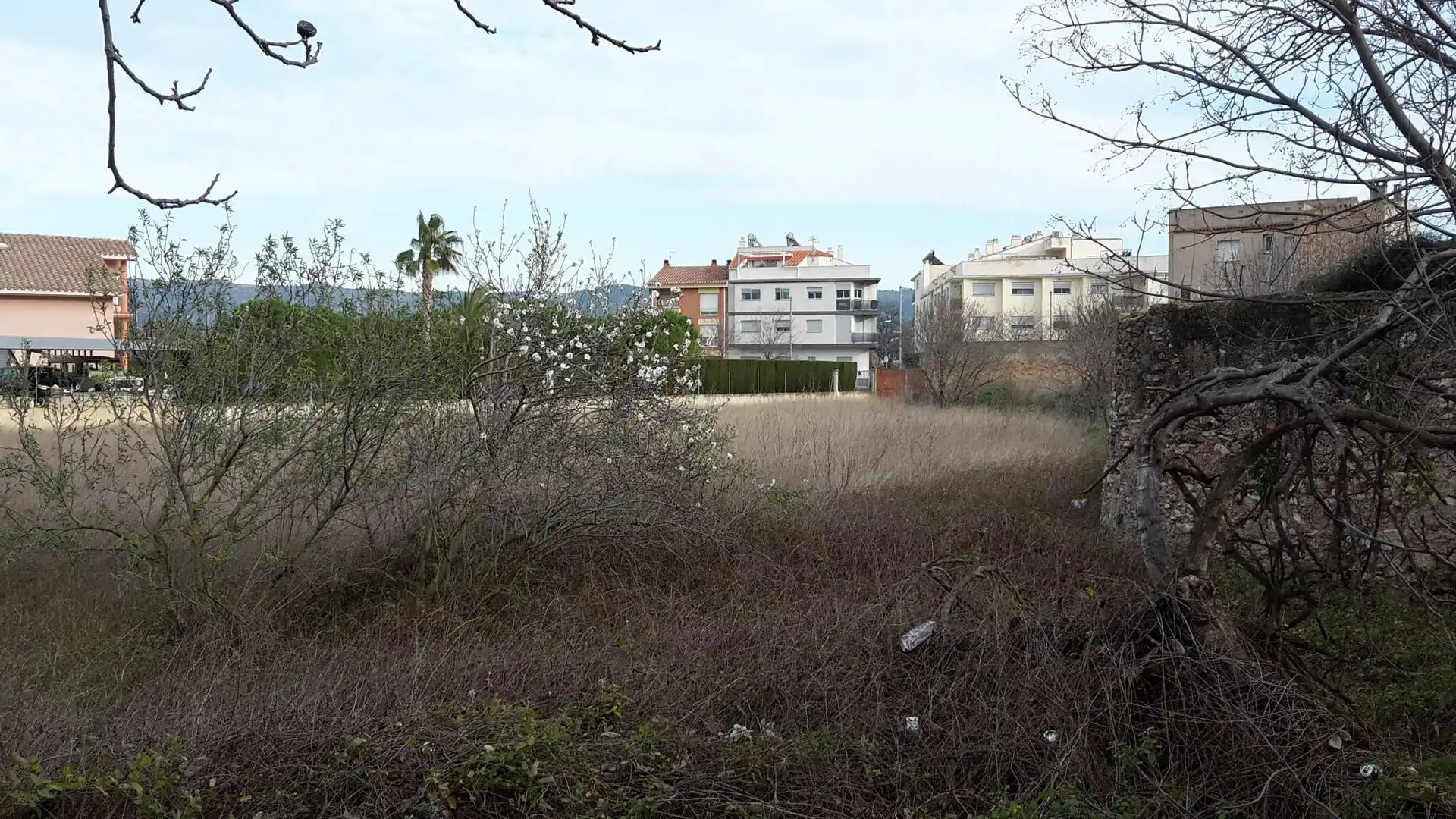 Terrain rustique à vendre à C/ Navas de Tolosa, imagen 8