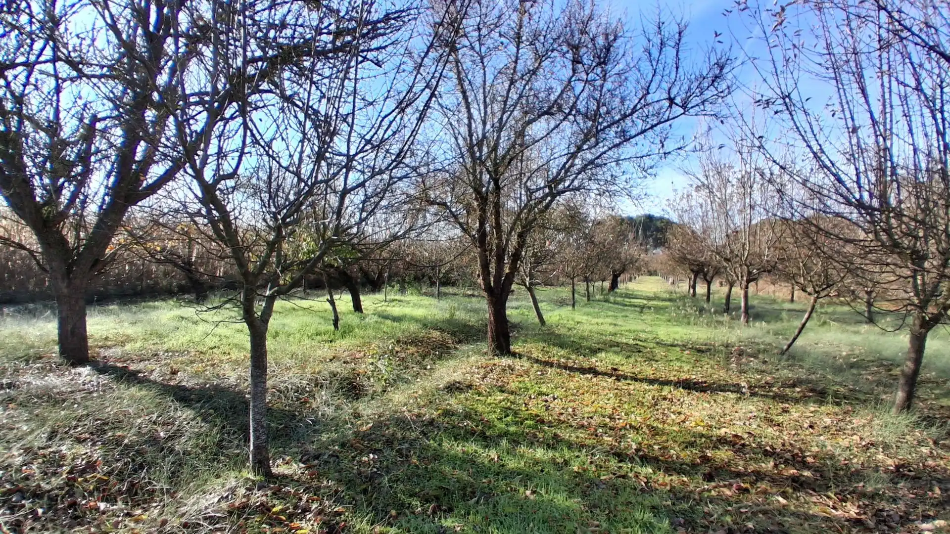 Finca rústica en venta en Almenara de Tormes