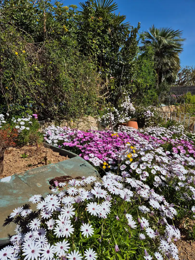 Jardí de Casa o xalet en venda en Cubelles amb Aire condicionat, Calefacció i Terrassa