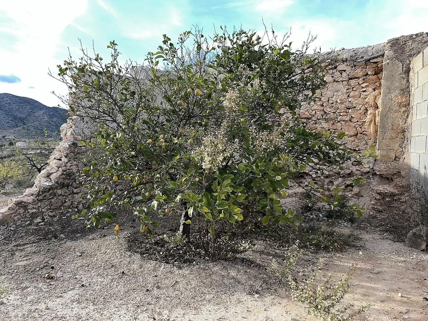 Landhaus zum Verkauf in Hondón de las Nieves / El Fondó de les Neus, imagen 96