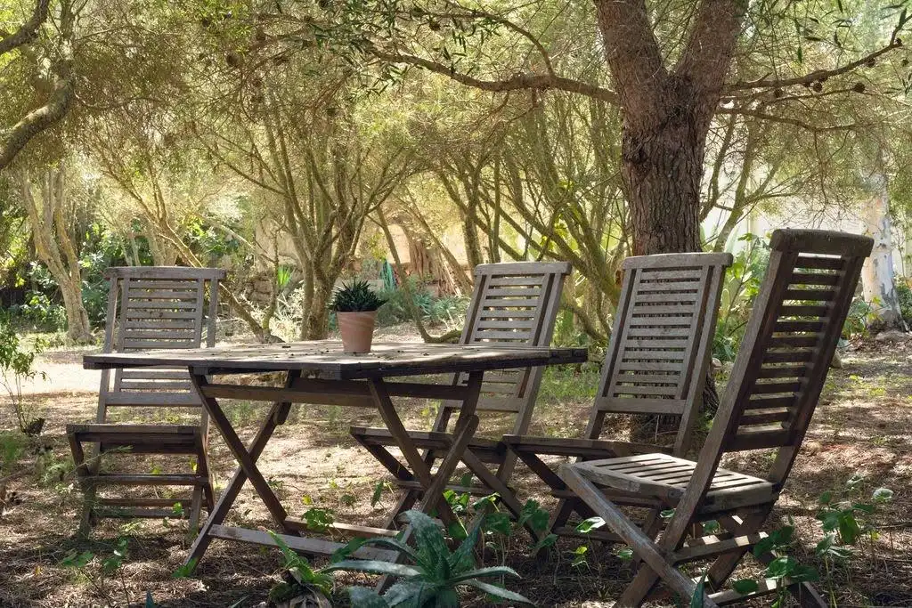 Jardí de Casa o xalet de lloguer en Ses Salines amb Jardí privat i Terrassa