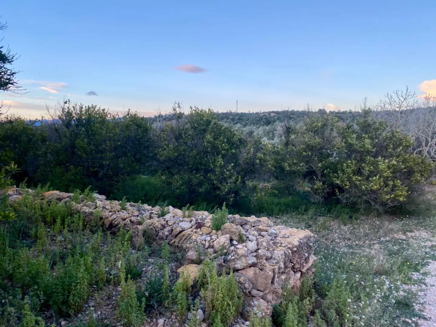 Finca rústica en venda en Masdenverge amb Piscina