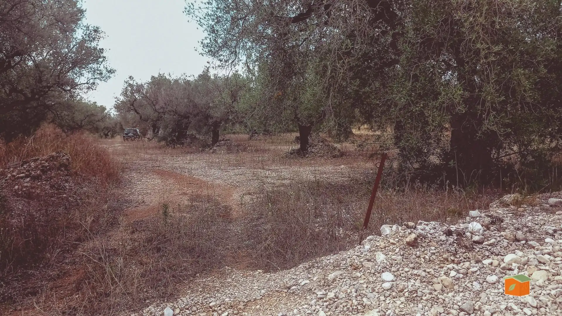 Maison rustique à vendre à Ulldecona, imagen 18