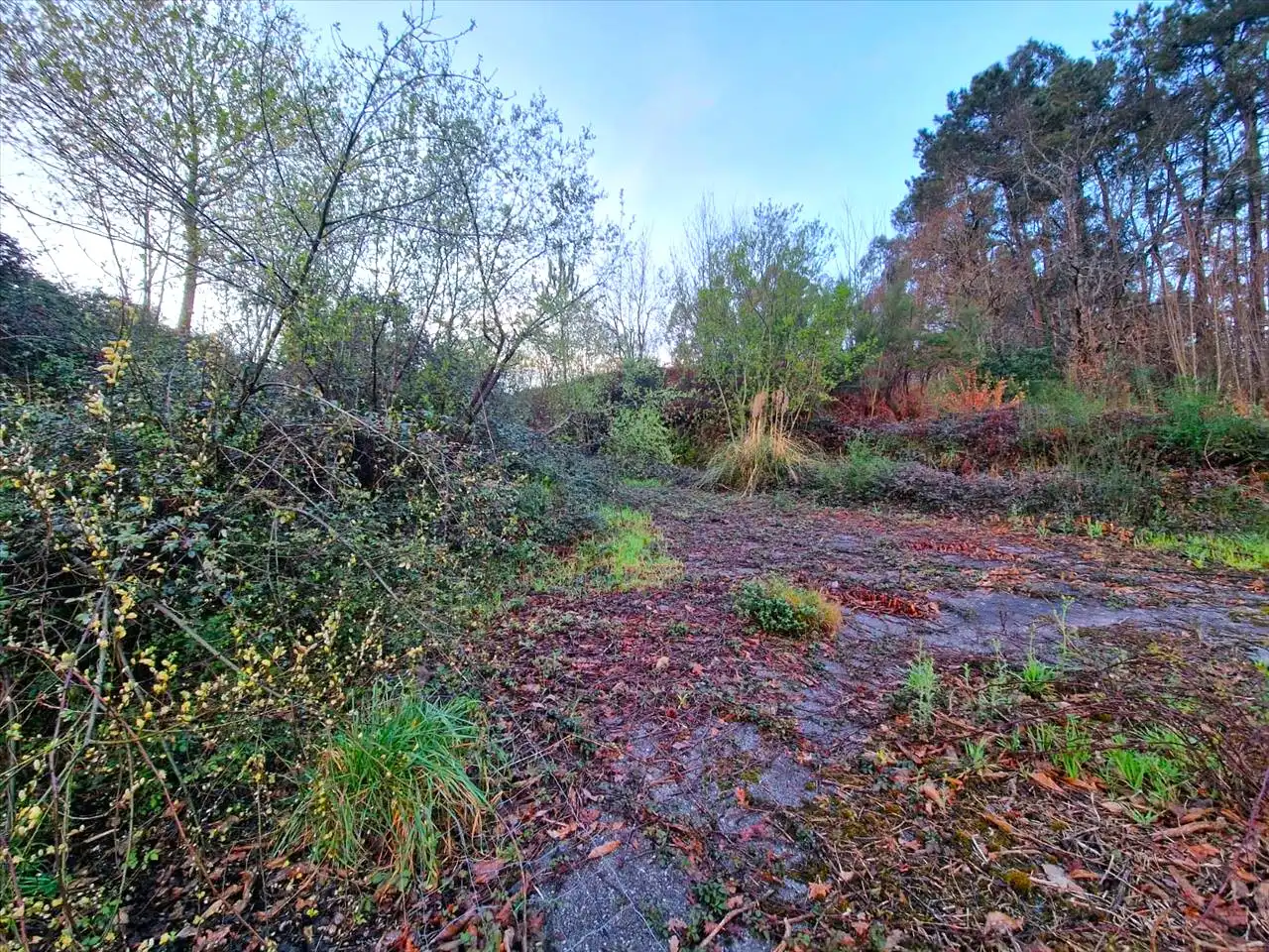 Wohnbaugrundstück zum Verkauf in Burgo-Bahiña, imagen 15