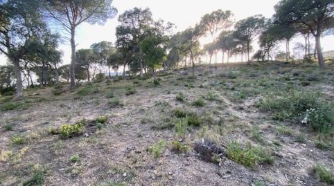 Foto 5 de Terreno en venta en Avenida Sant Daniel, Mas Mora - Sant Daniel, Tordera