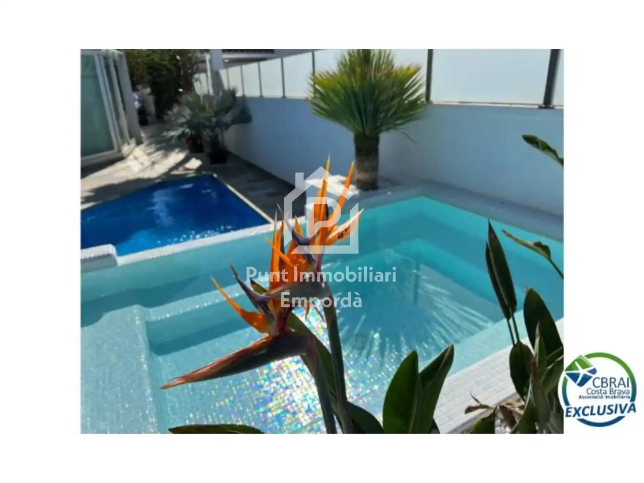 Casa con piscina en venta en Calle Falconera, imagen 3