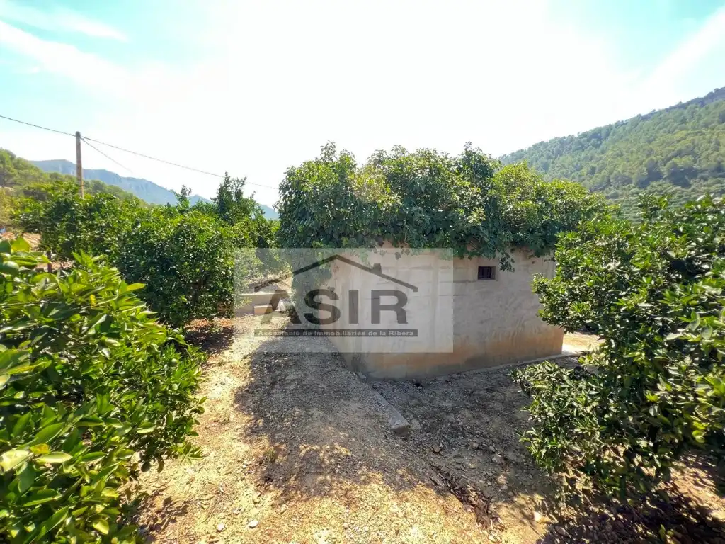 Casa o xalet en venda en Alzira
